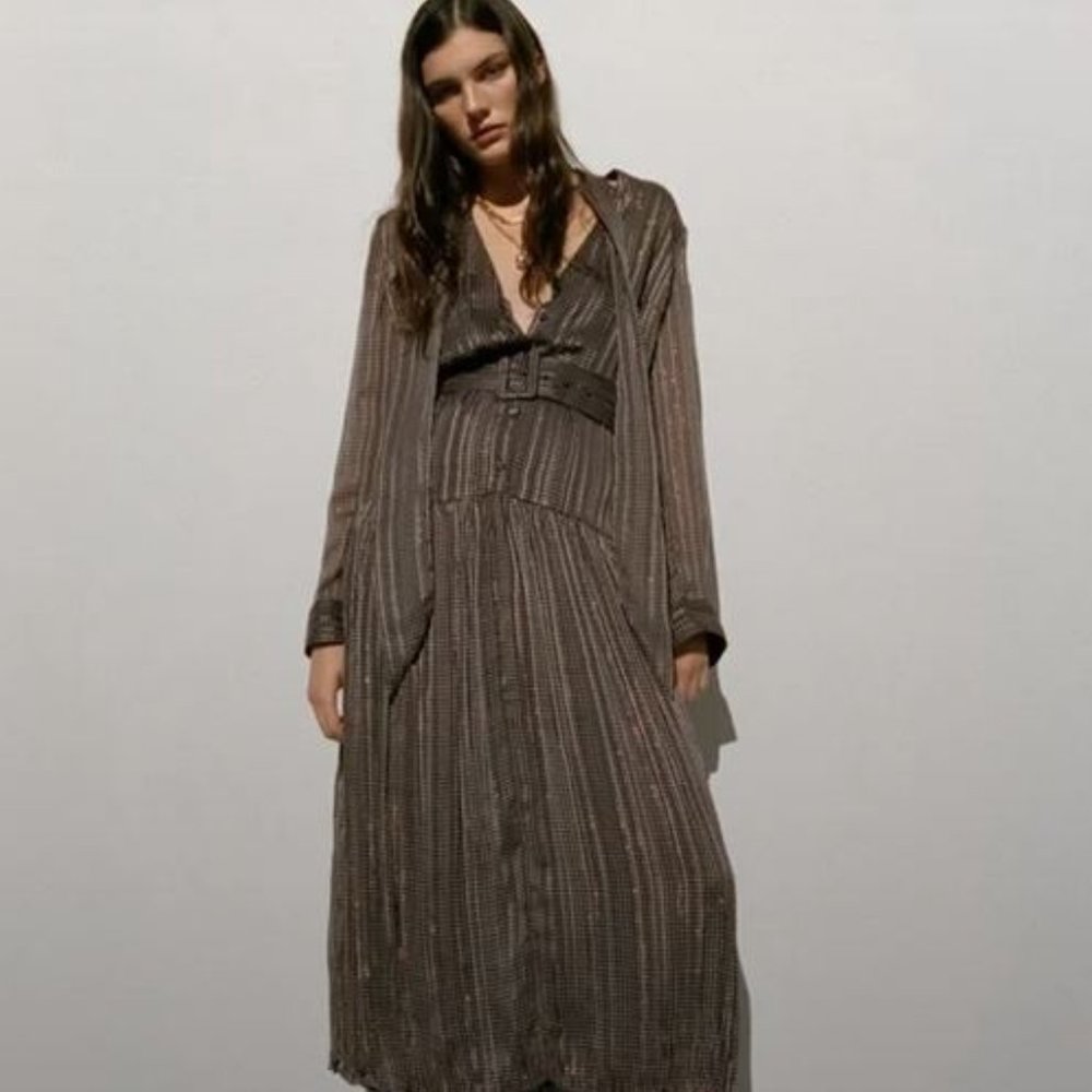 Metallic strip Black Brown pattern Zara Dress Size XS